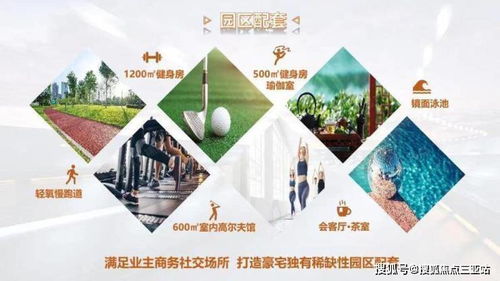 三亚 建面约276㎡企业大平层等产品在售 项目详情 产品 配套