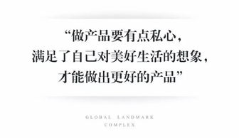 宝能 用心，与城市一起改变——专业房产咨询的力量
